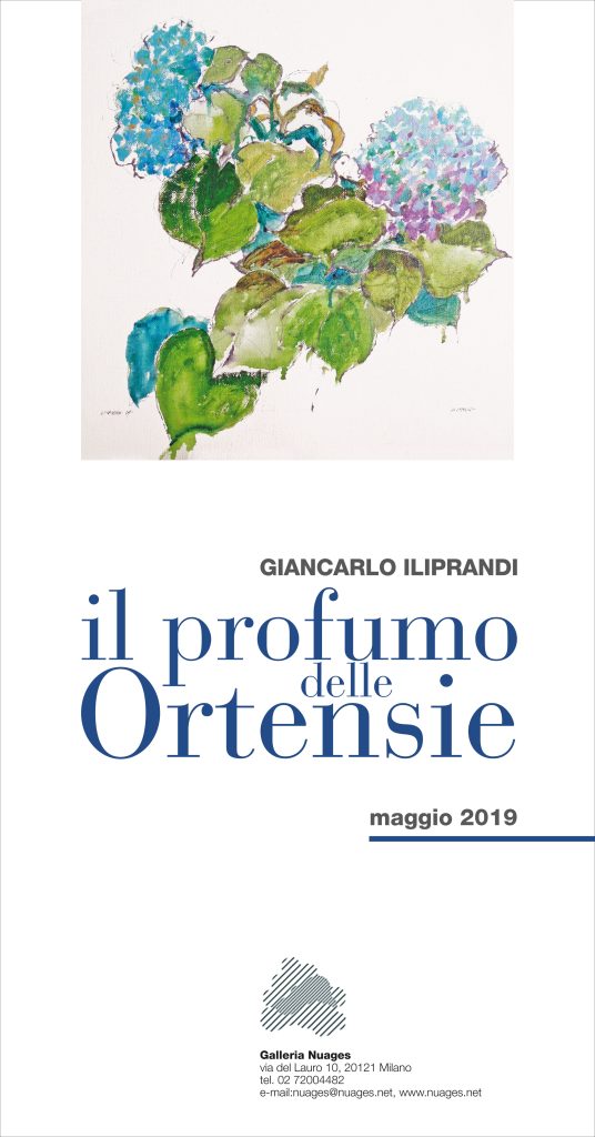 IL PROFUMO DELLE ORTENSIE 