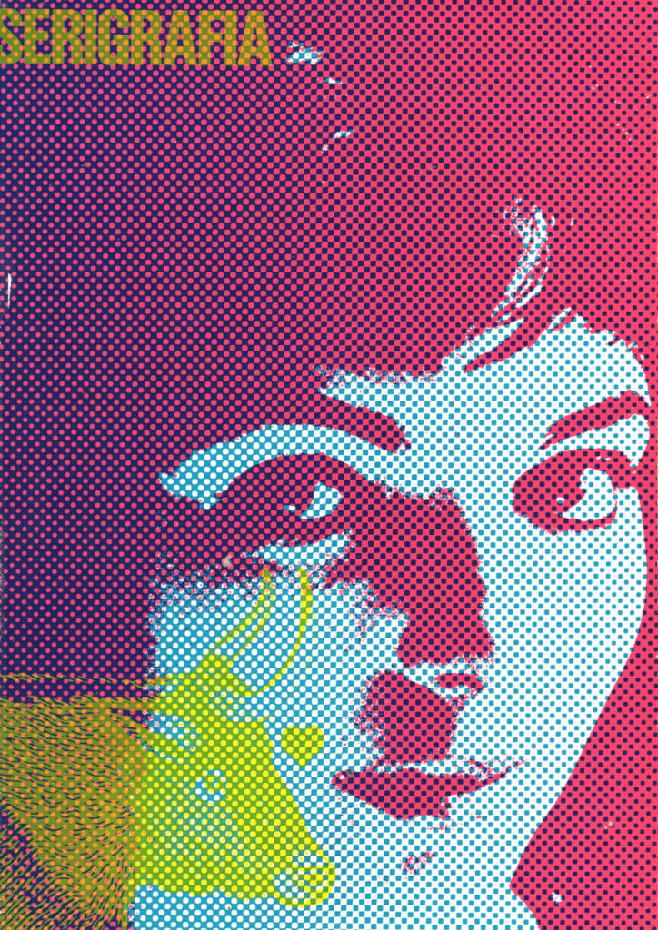 RETINI E TEXTURE - SERIGRAFIA 69