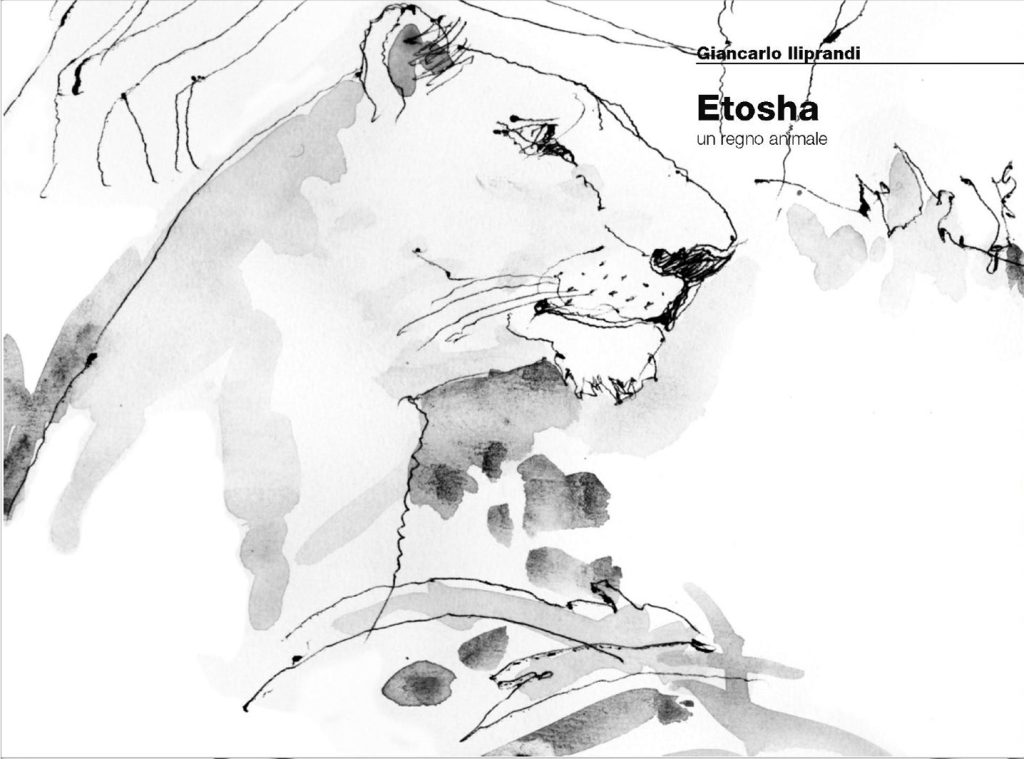 Etosha. Un regno animale